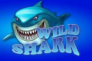 Wildshark Онион Казино играть